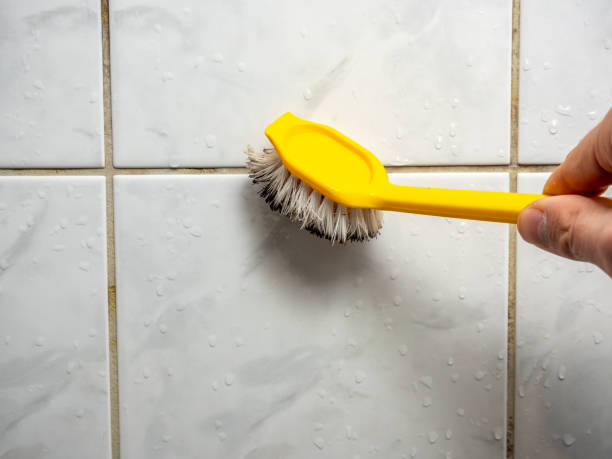 Best Residential Mold Removal  in Fox Chase, PA