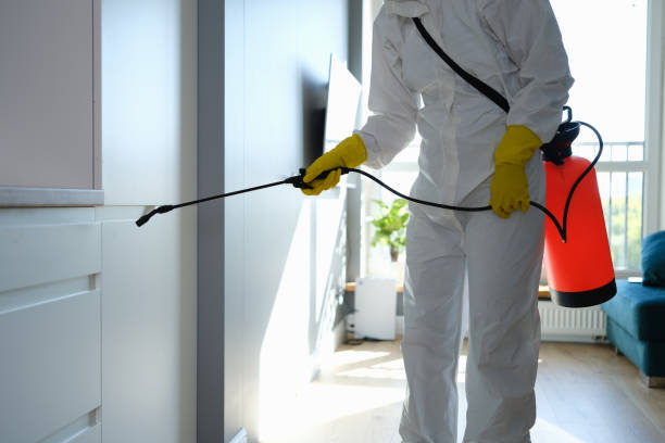 Mold Testing and Removal in Fox Chase, PA