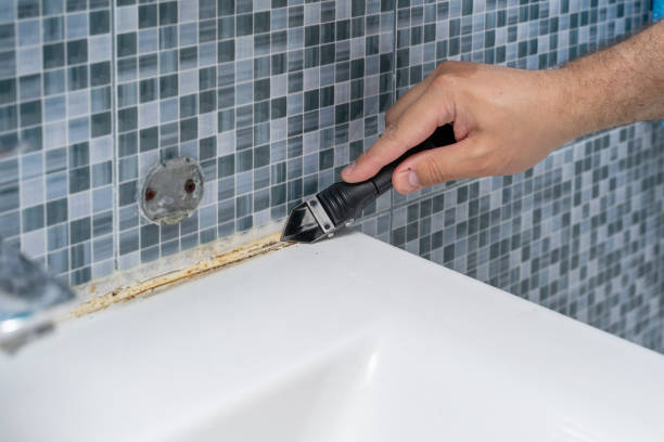 Best Best Mold Removal Companies  in Fox Chase, PA